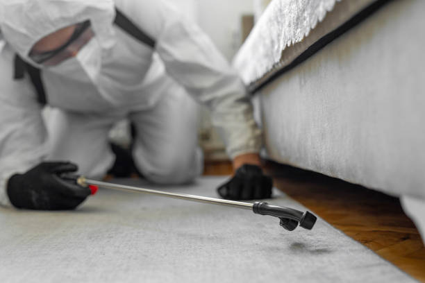 Professional Termite Control technician working in Independence, OR