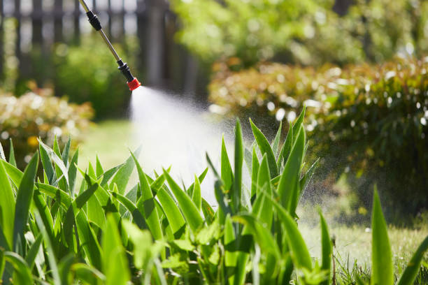24/7 Emergency Termite Control experts in Independence, OR