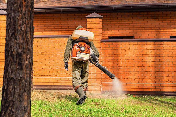 Trusted Termite Control service in Independence, OR - Nex Pest Control